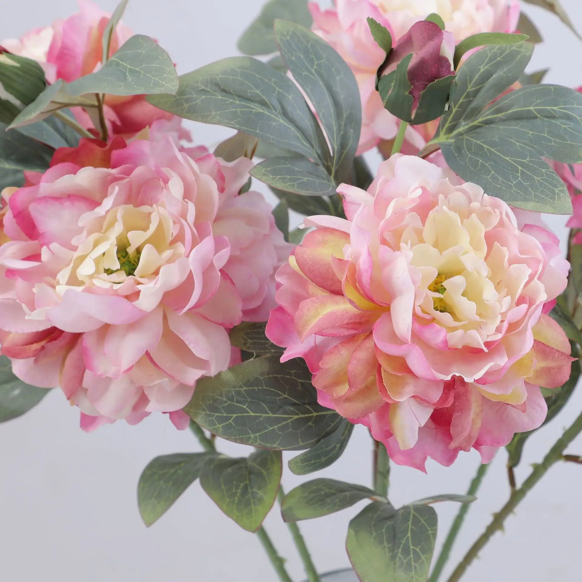 Artificial Peony Flower Single - Flower Wall Panel 评论和价格