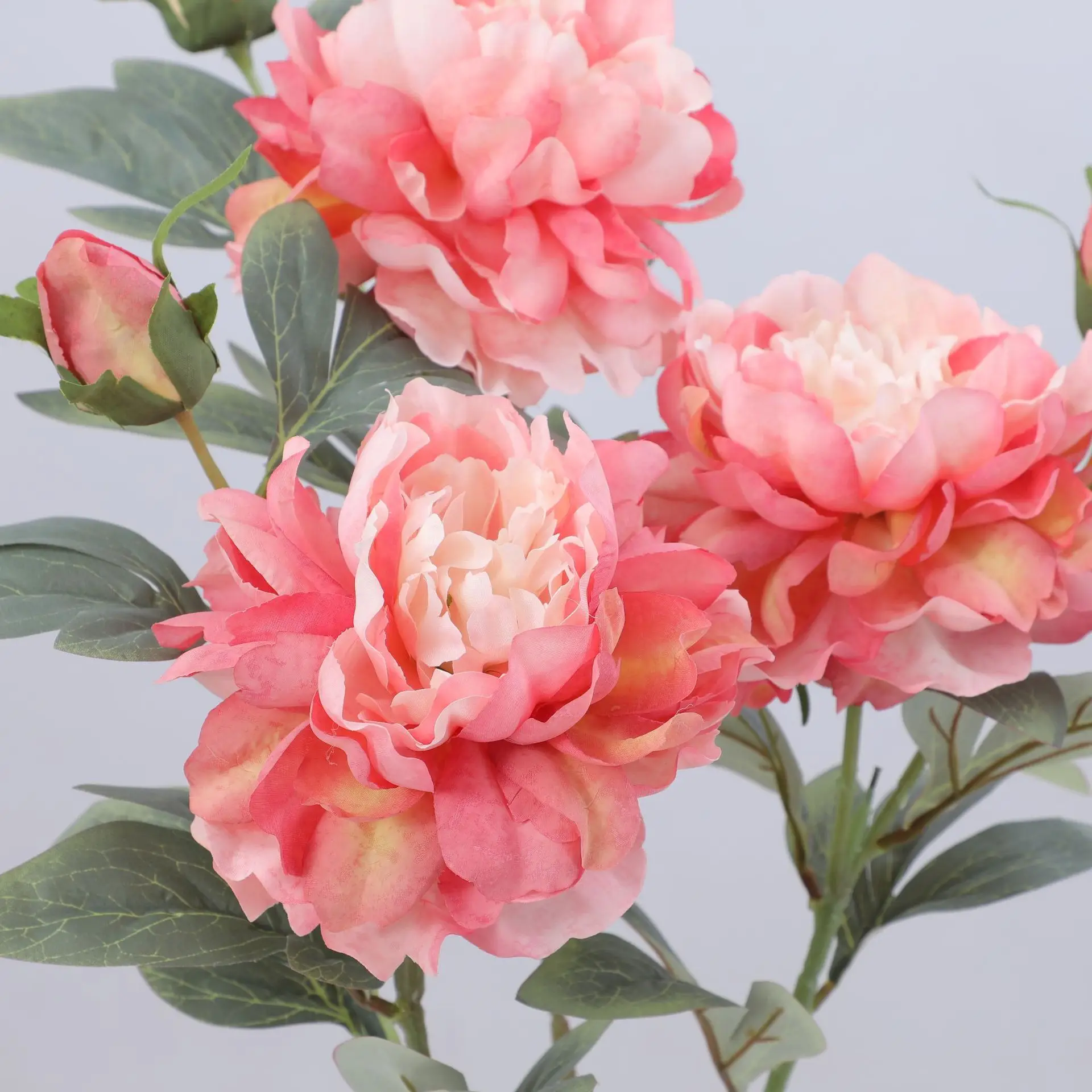 Artificial Peony Flower Single - Flower Wall Panel 评论和价格