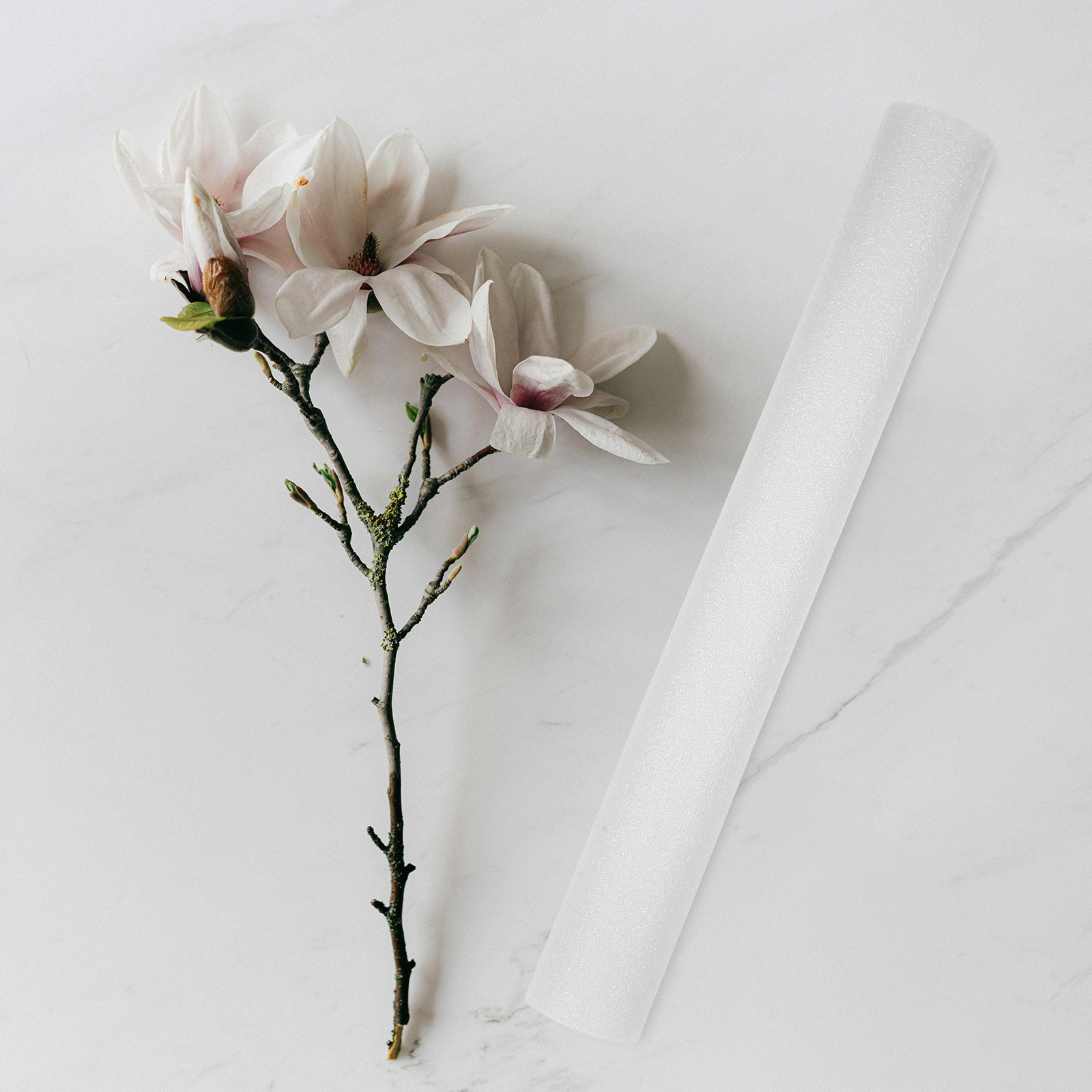7Pcs Flower Arranging Foam Sti - Centerpiece Stick 评论和价格